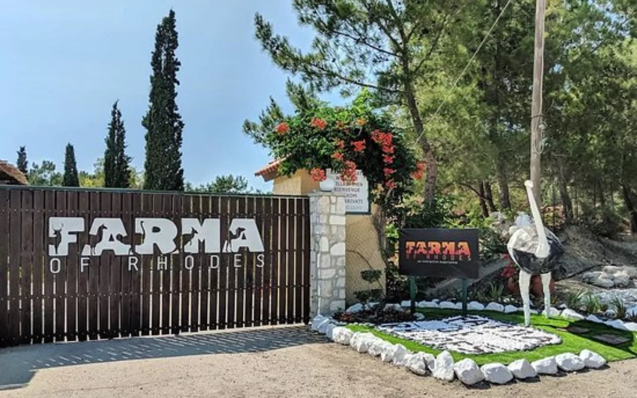 Farma Rhodes petting zoo experience
